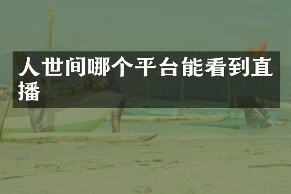 人世间哪个平台能看到直播