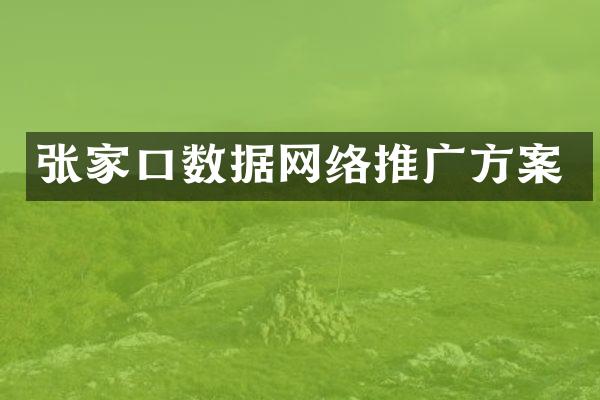 张家口数据网络推广方案