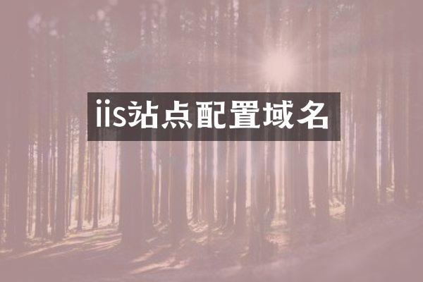 iis站点配置域名