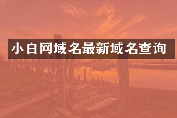 小白网域名最新域名查询