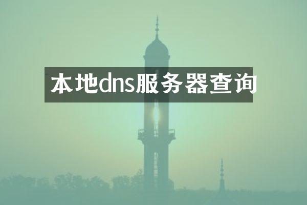 本地dns服务器查询