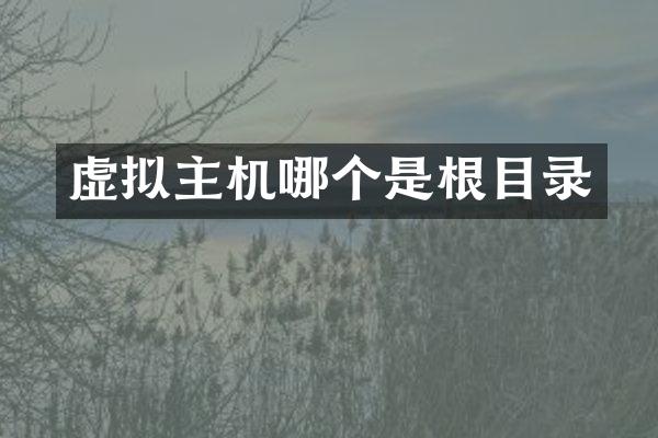 虚拟主机哪个是根目录