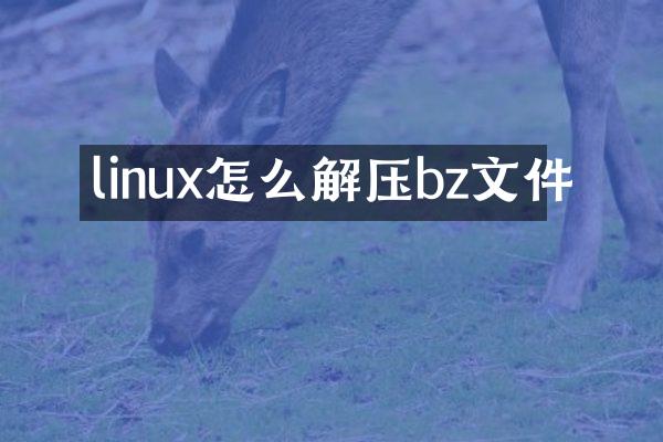 linux怎么解压bz文件