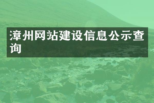 漳州网站建设信息公示查询