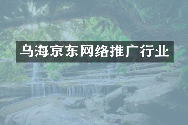 乌海京东网络推广行业