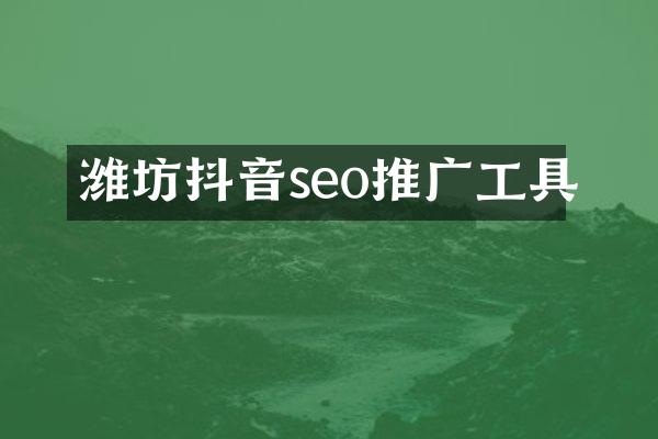 潍坊抖音seo推广工具
