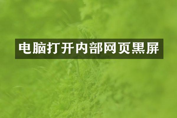 电脑打开内部网页黑屏