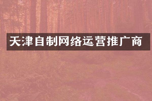 天津自制网络运营推广商