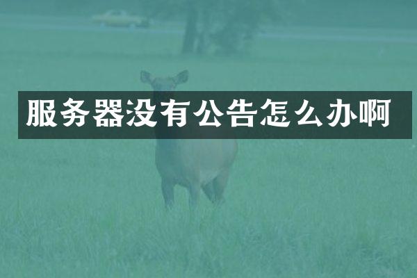 服务器没有公告怎么办啊