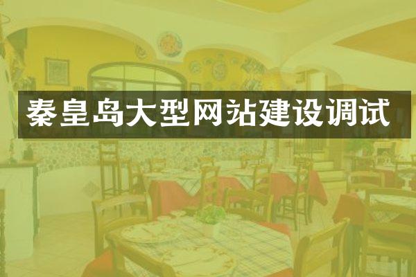 秦皇岛大型网站建设调试
