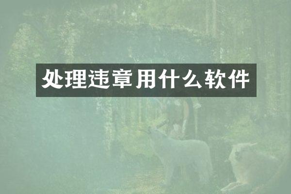 处理违章用什么软件