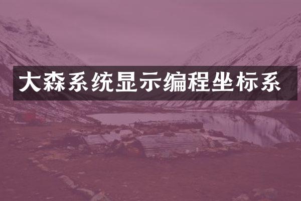 大森系统显示编程坐标系