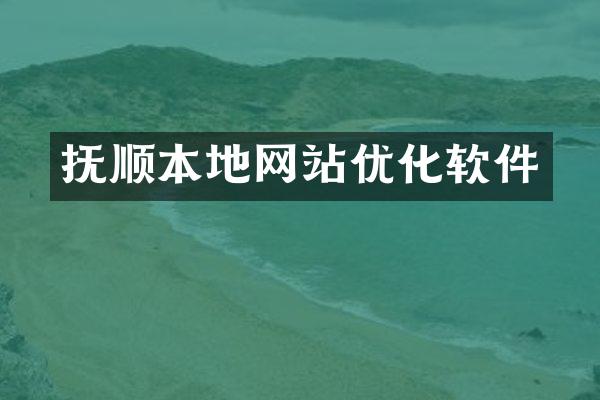 抚顺本地网站优化软件
