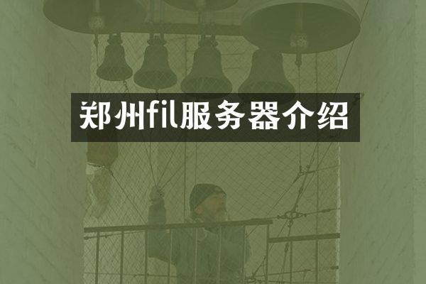 郑州fil服务器介绍