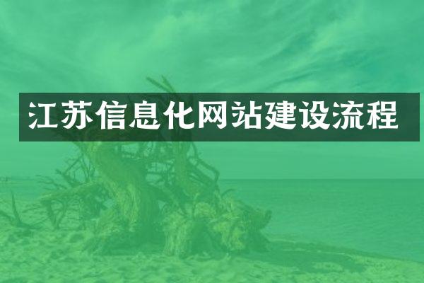 江苏信息化网站建设流程