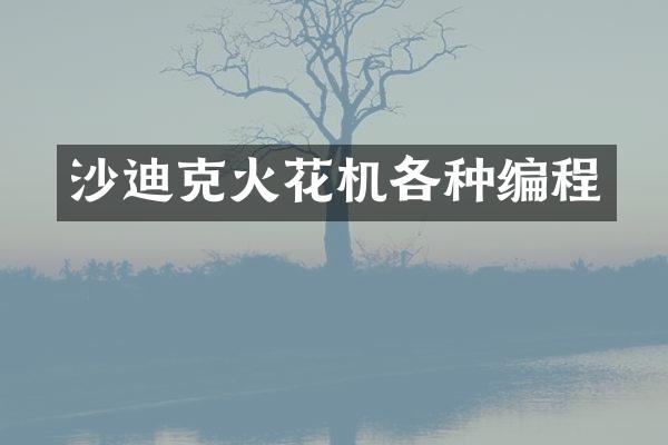 沙迪克火花机各种编程