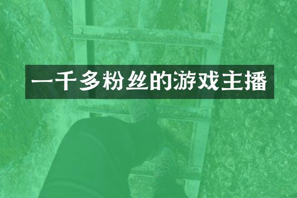 一千多粉丝的游戏主播
