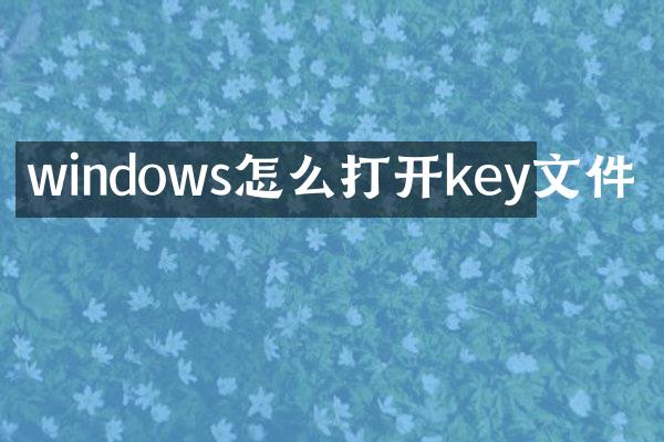 windows怎么打开key文件