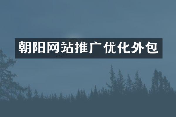 朝阳网站推广优化外包