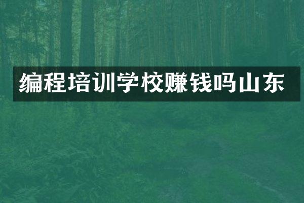 编程培训学校赚钱吗山东