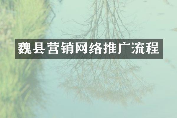 魏县营销网络推广流程