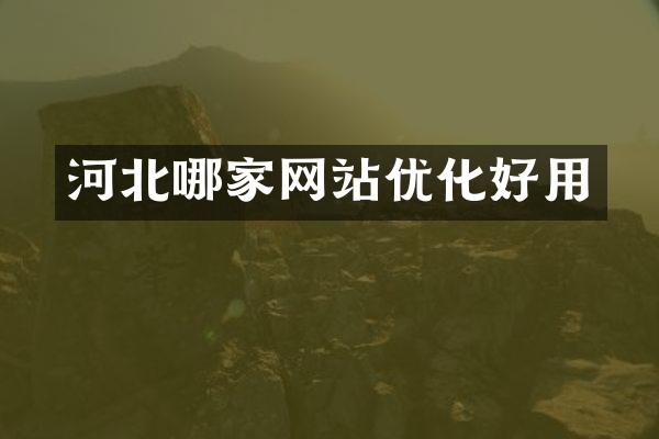 河北哪家网站优化好用