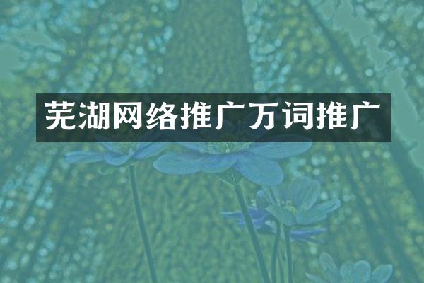 芜湖网络推广万词推广