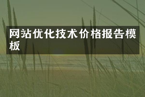 网站优化技术价格报告模板