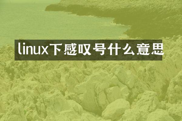linux下感叹号什么意思