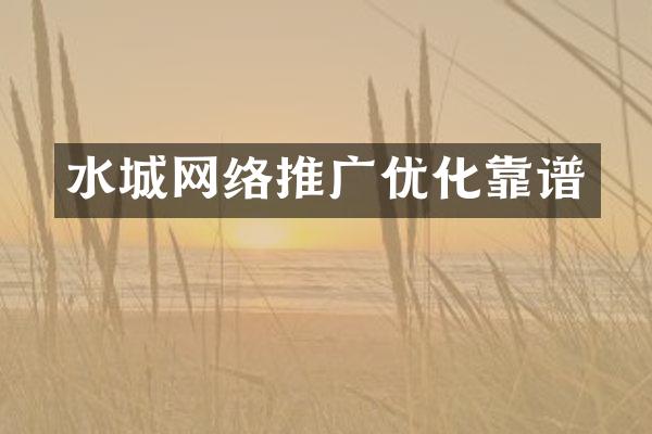 水城网络推广优化靠谱