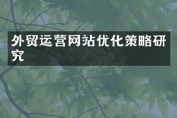 外贸运营网站优化策略研究