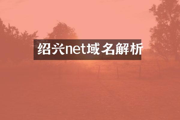 绍兴net域名解析