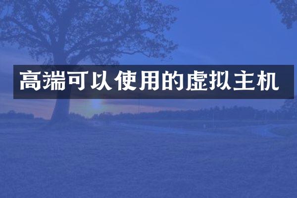 高端可以使用的虚拟主机