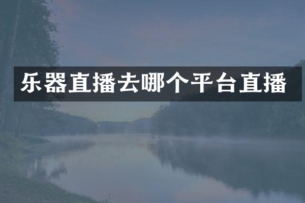 乐器直播去哪个平台直播