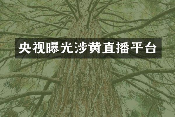 央视曝光涉黄直播平台