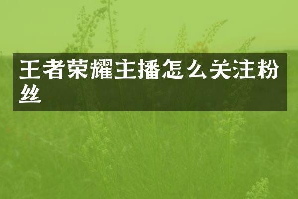 王者荣耀主播怎么关注粉丝