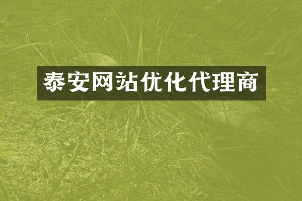 泰安网站优化代理商