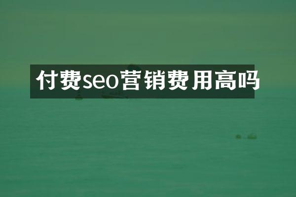 付费seo营销费用高吗