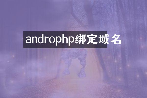 androphp绑定域名