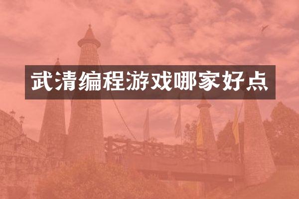 武清编程游戏哪家好点