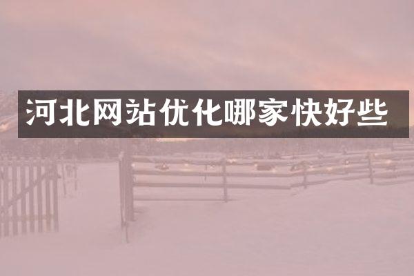 河北网站优化哪家快好些