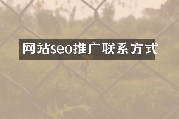 网站seo推广联系方式