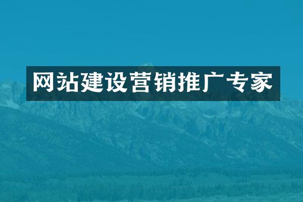 网站建设营销推广专家