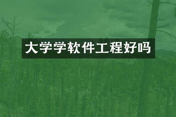 大学学软件工程好吗