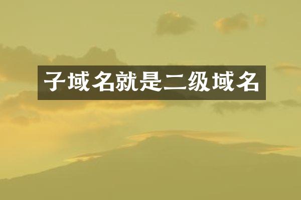子域名就是二级域名