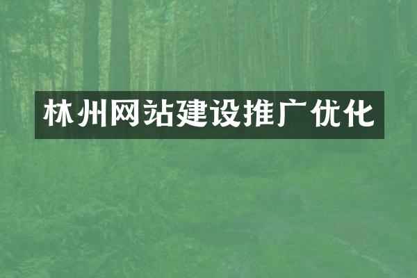 林州网站建设推广优化