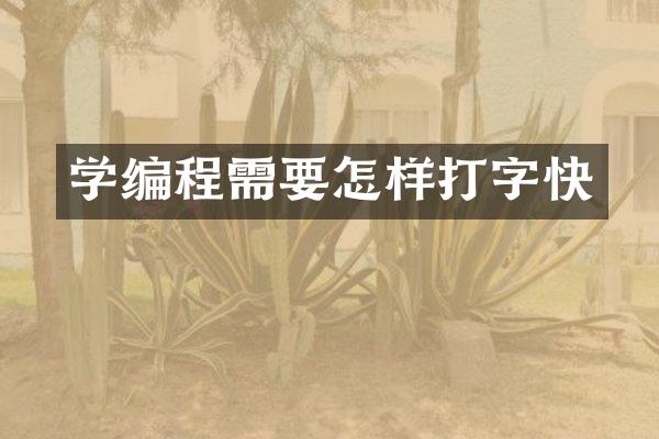 学编程需要怎样打字快