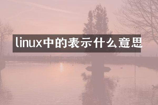 linux中的表示什么意思