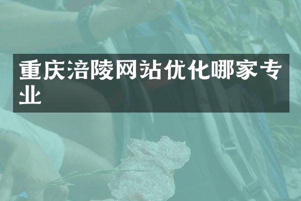 重庆涪陵网站优化哪家专业