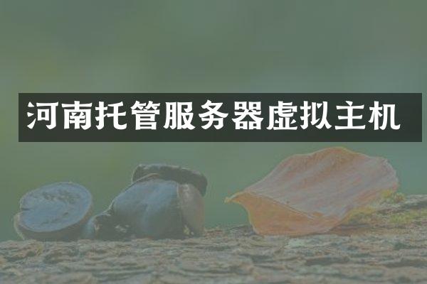 河南托管服务器虚拟主机